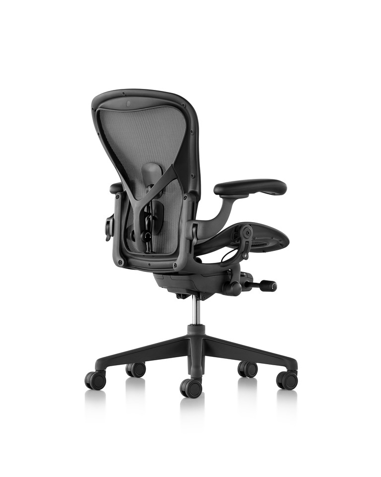 Silla Aeron de espalda